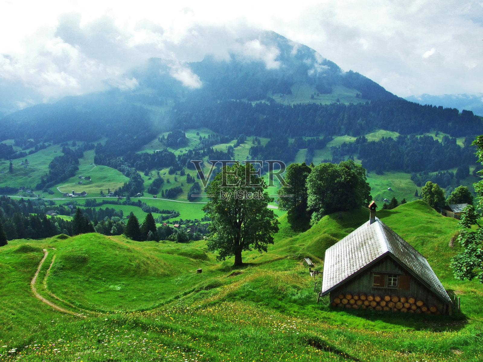 奥斯维辛地区的农场和牧场照片摄影图片