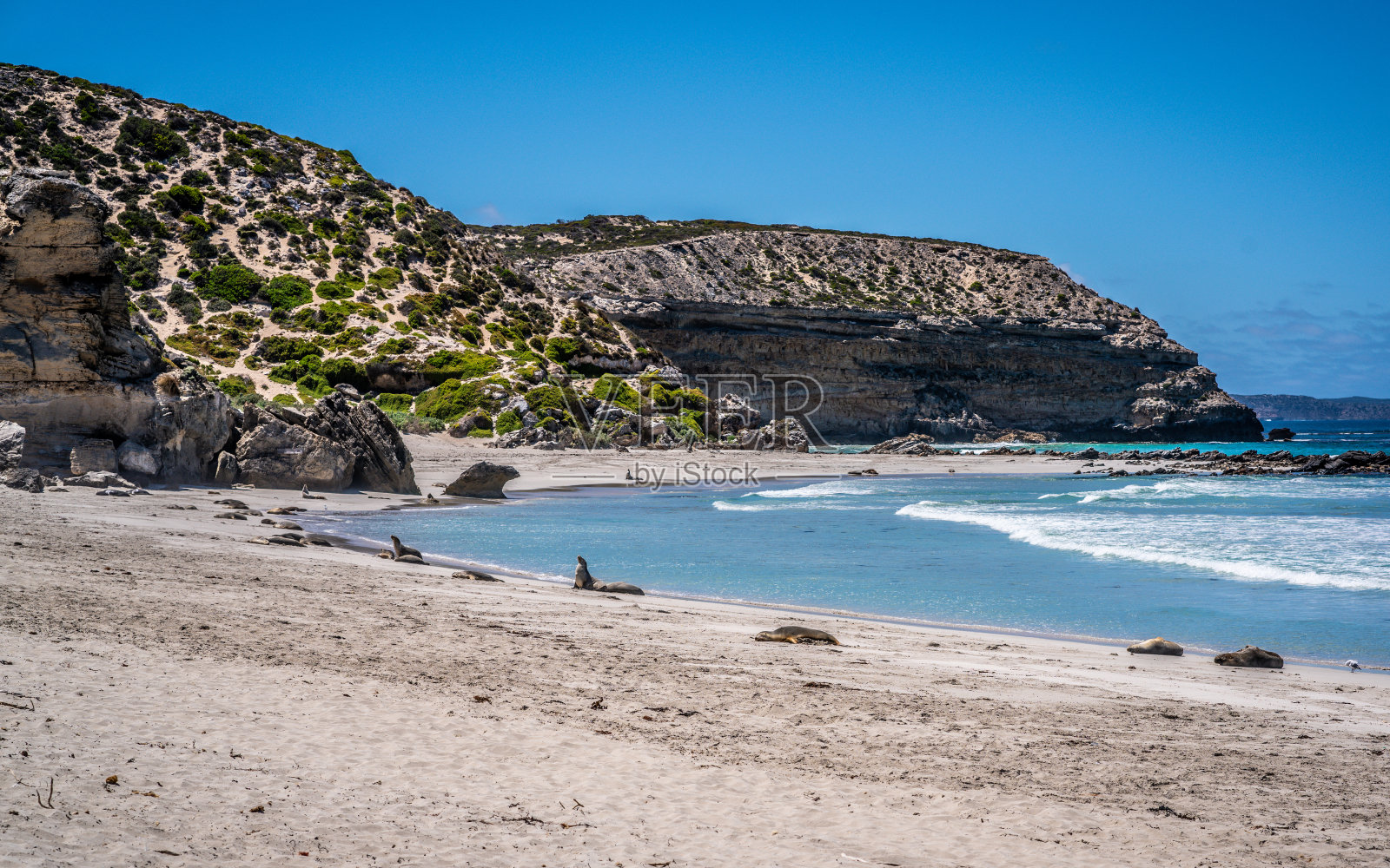 南澳大利亚袋鼠岛的海豹湾风景与休息的澳大利亚海狮照片摄影图片
