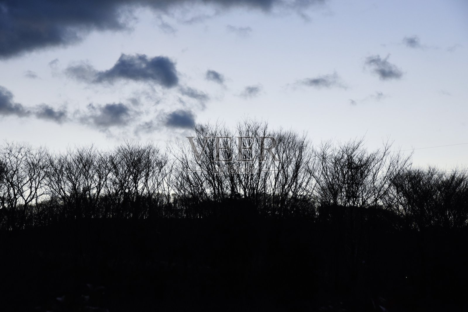 冬季森林照片摄影图片