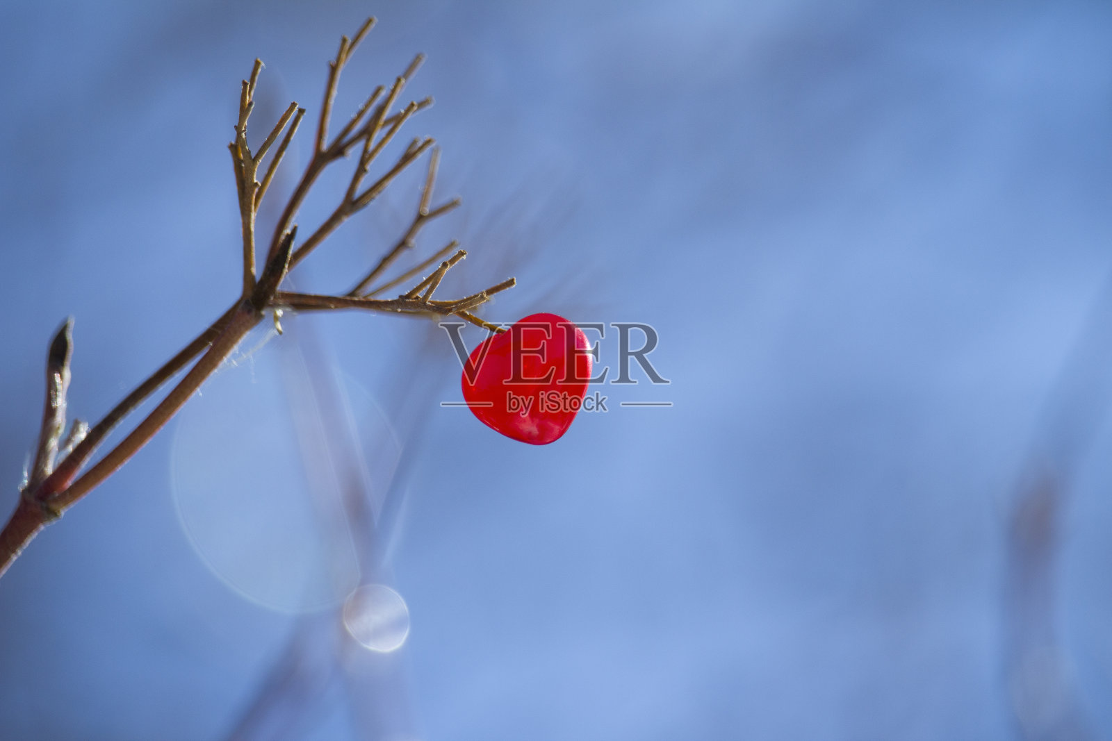 树枝上的红心。春天的方法的概念照片摄影图片