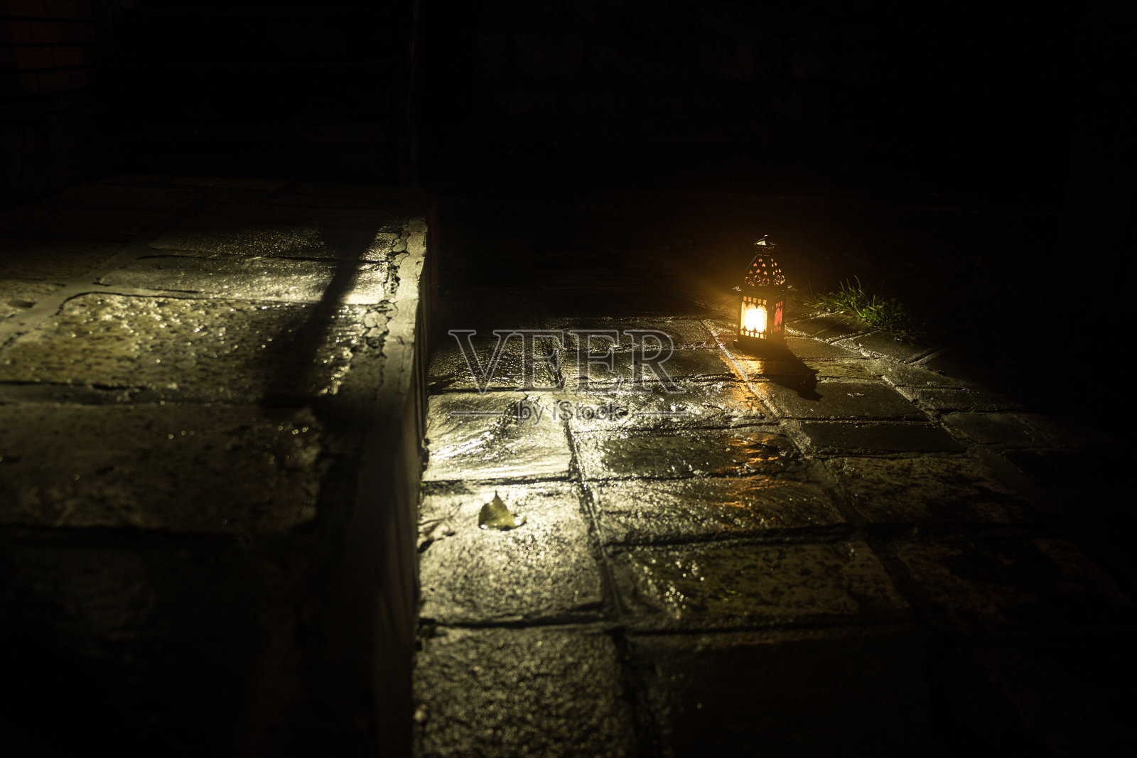 美轮美奂的彩灯在雾蒙蒙的夜晚在花园里。晚上户外的复古风格灯笼。照片摄影图片