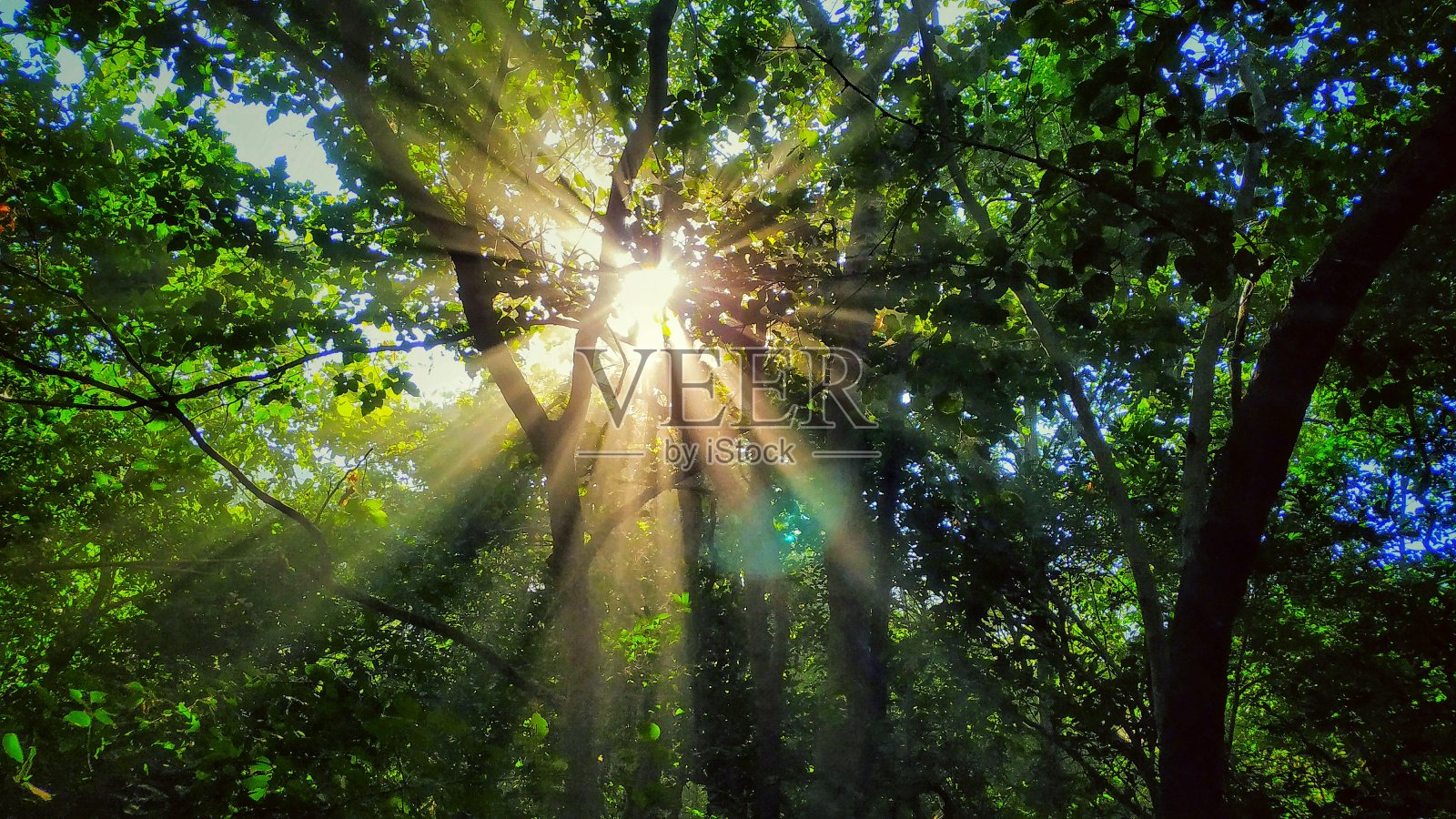 阳光照片摄影图片