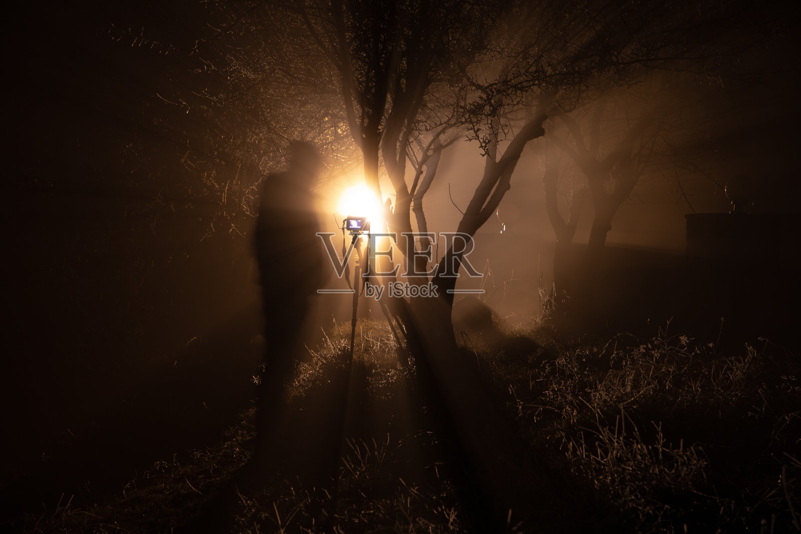 雾蒙蒙的夜晚庭院，背景是明亮的灯光。树上挂着灯笼，还有一个摄影师拿着相机的剪影。照片摄影图片