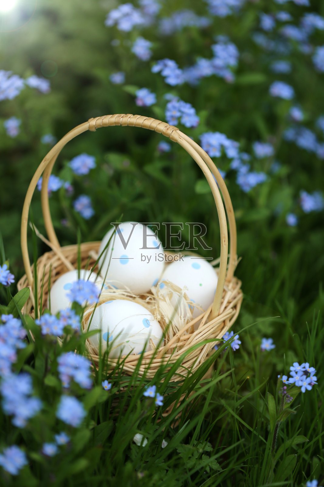 柳条篮子里放着复活节彩蛋，柳条篮子里放着蓝色的勿忘我花，背景是模糊的蔬菜。春天复活节的节日背景。照片摄影图片