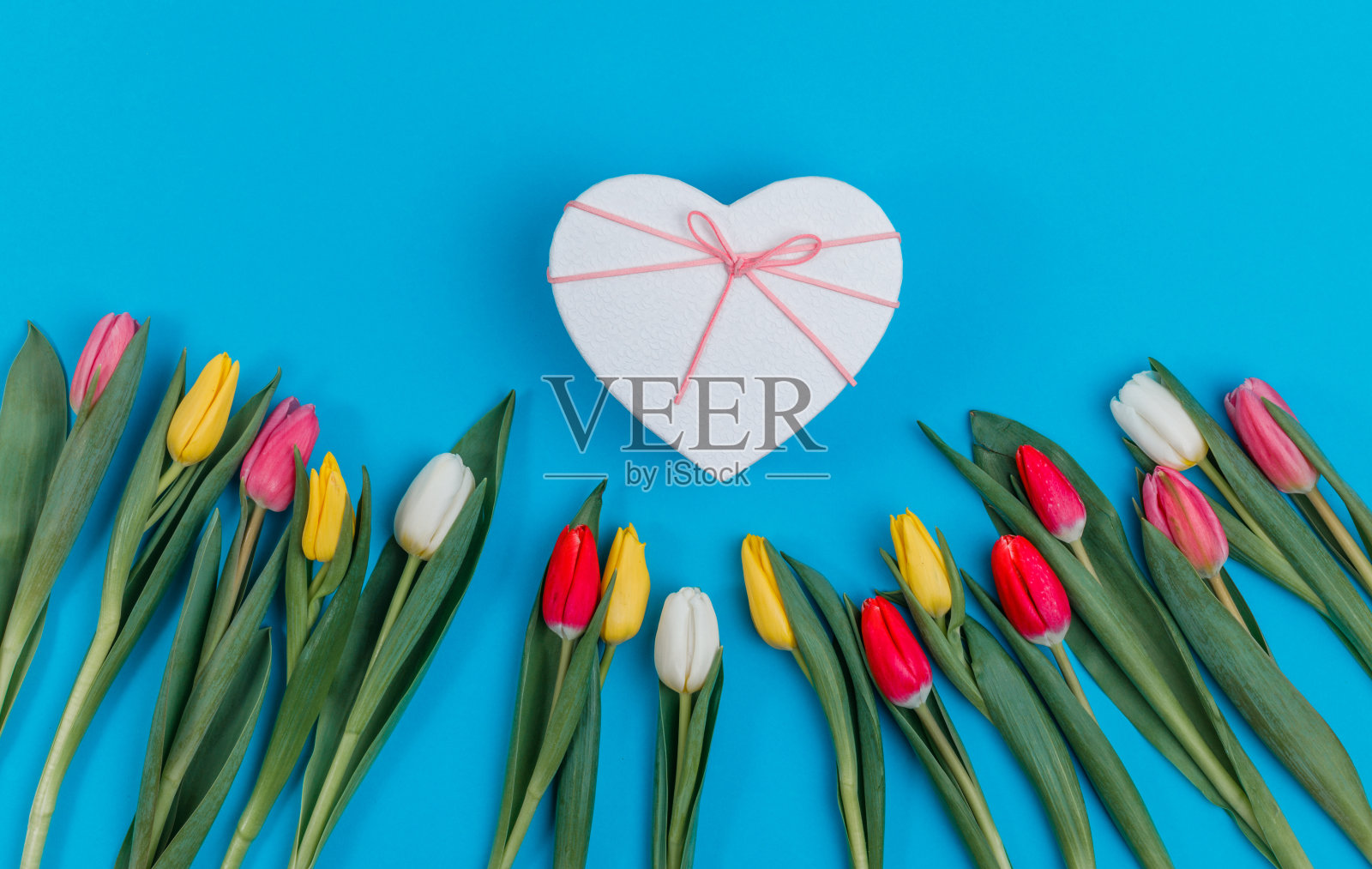 情人节的背景。美丽的郁金香。照片摄影图片