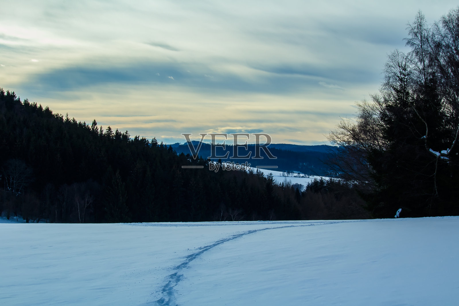 在冬季捷克的雪地上的小路照片摄影图片
