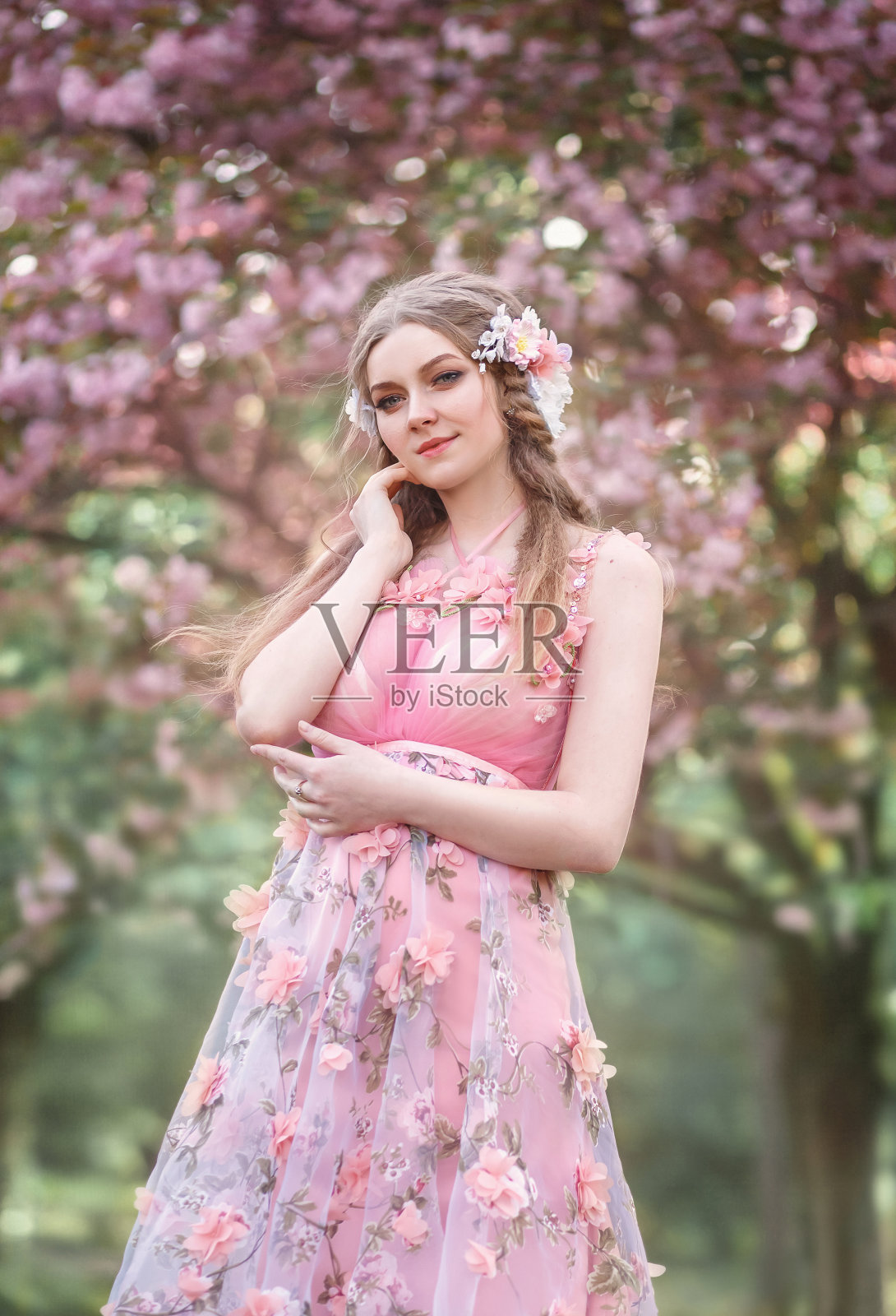 春天的女王穿着粉红色的裙子，上面撒满了鲜花，一列长长的飞行的火车。精灵公主漫步在樱花园。金发女孩，梳着有趣的辫子照片摄影图片