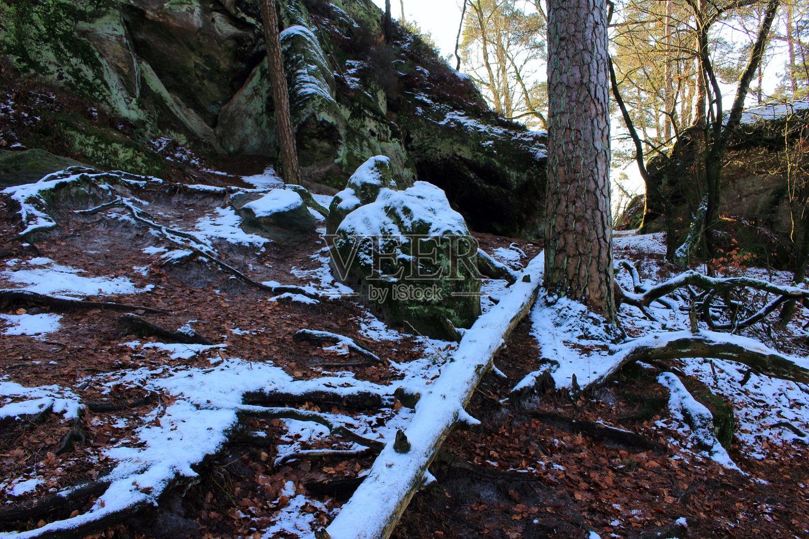 纳图尔瓦尔德照片摄影图片