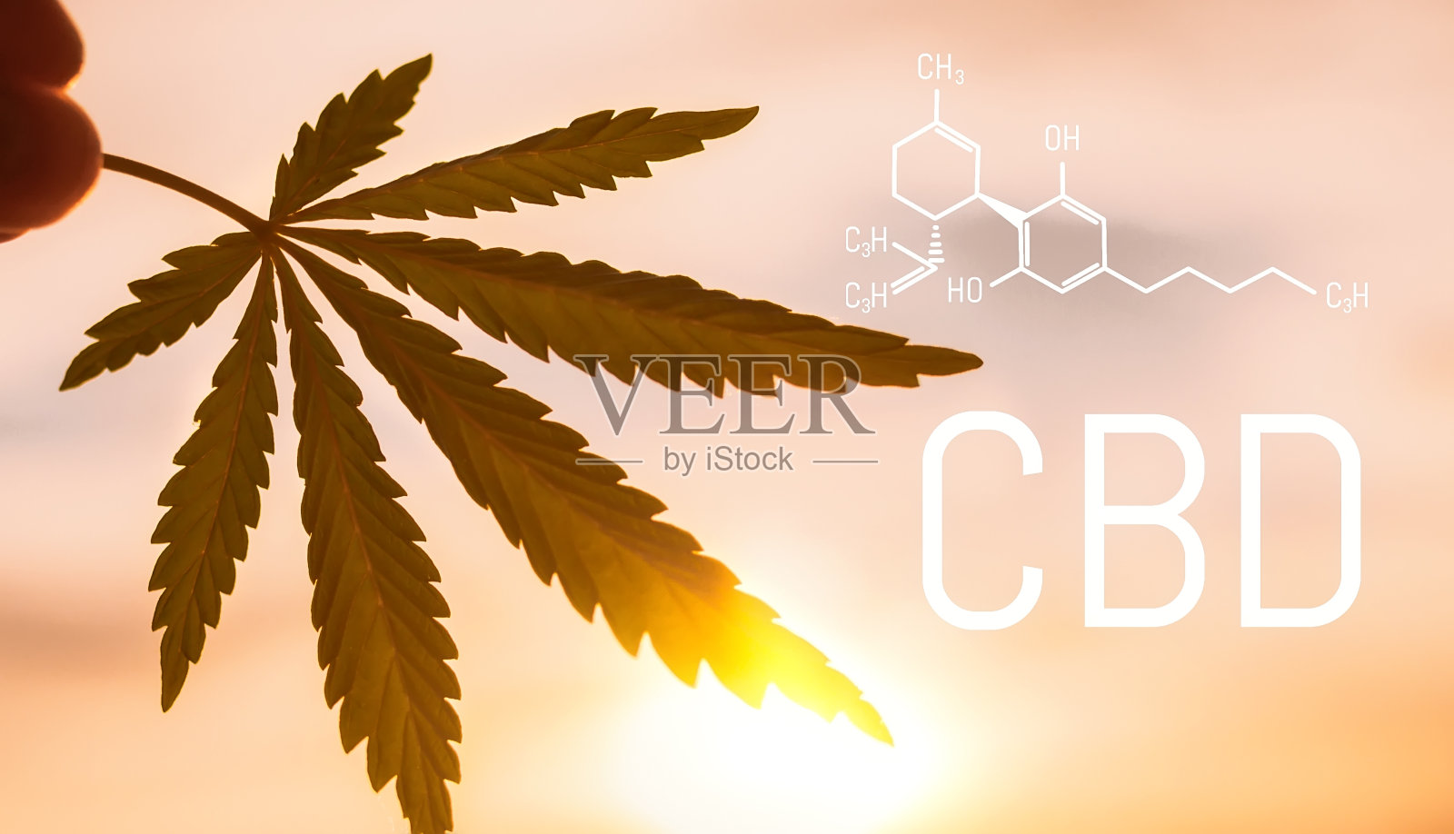 CBD配方中的大麻。大麻二酚的化学配方。分子结构照片摄影图片