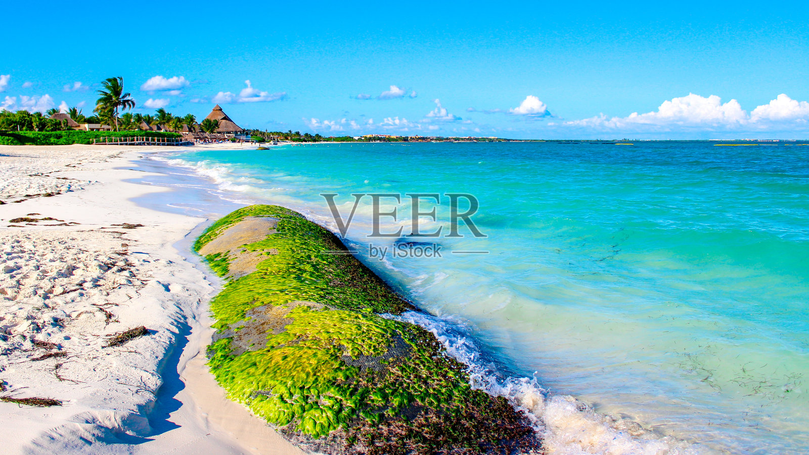 玛雅海滩，里维埃拉，墨西哥照片摄影图片