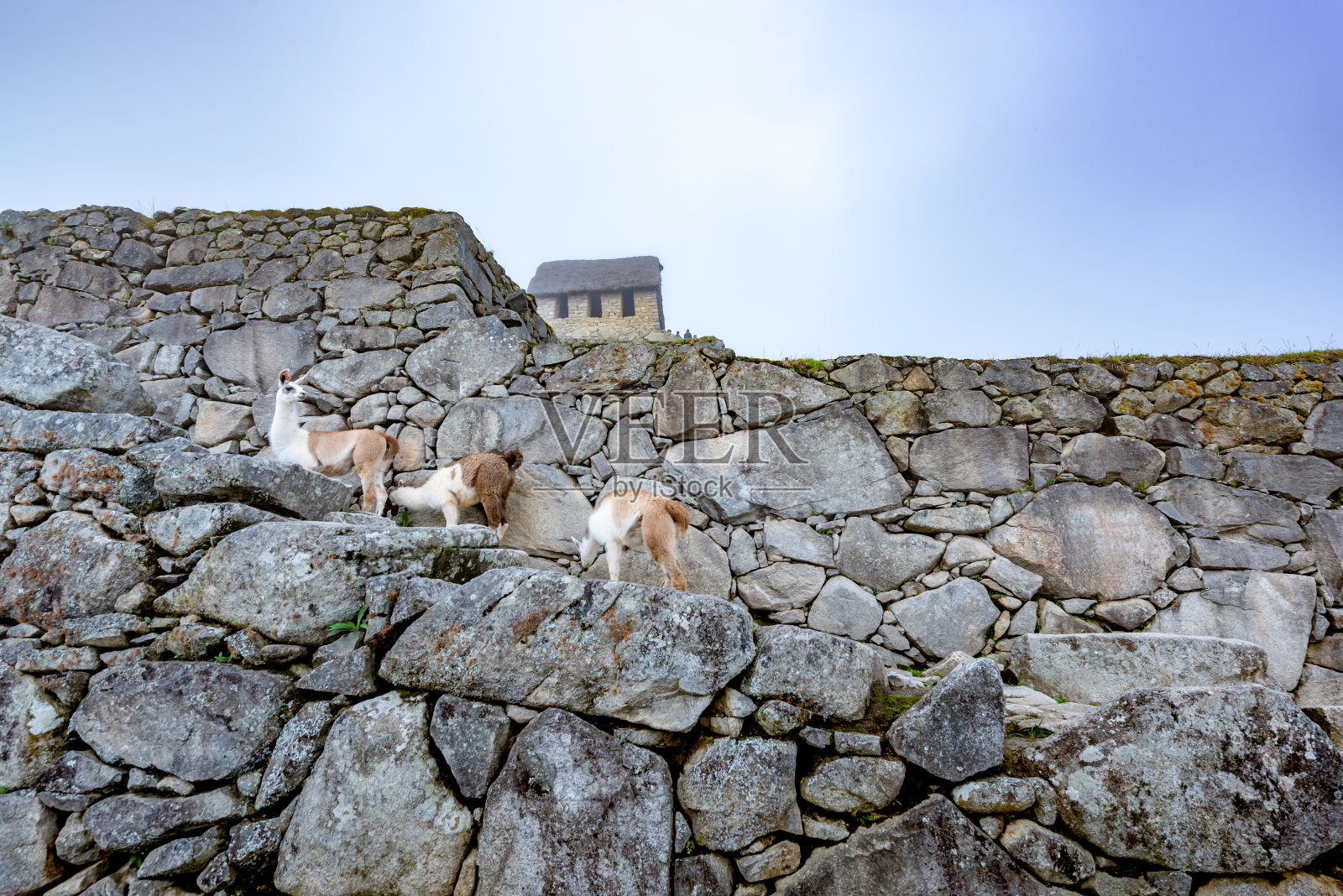 秘鲁的马丘比丘照片摄影图片