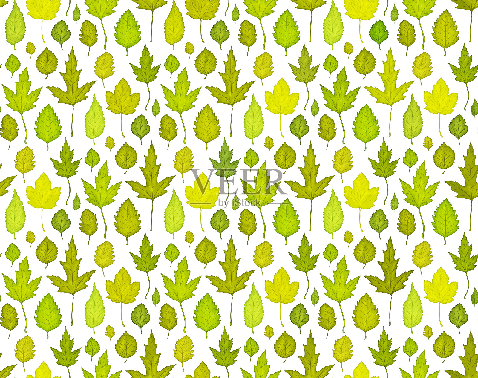 无缝模式背景与绿色树叶。矢量图插画图片素材