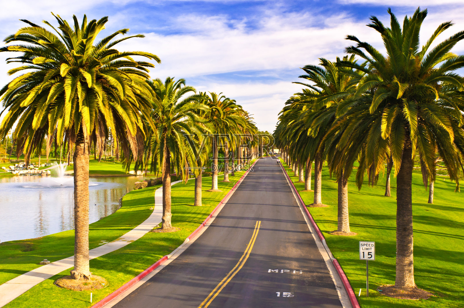 可爱的进入高尔夫球场照片摄影图片