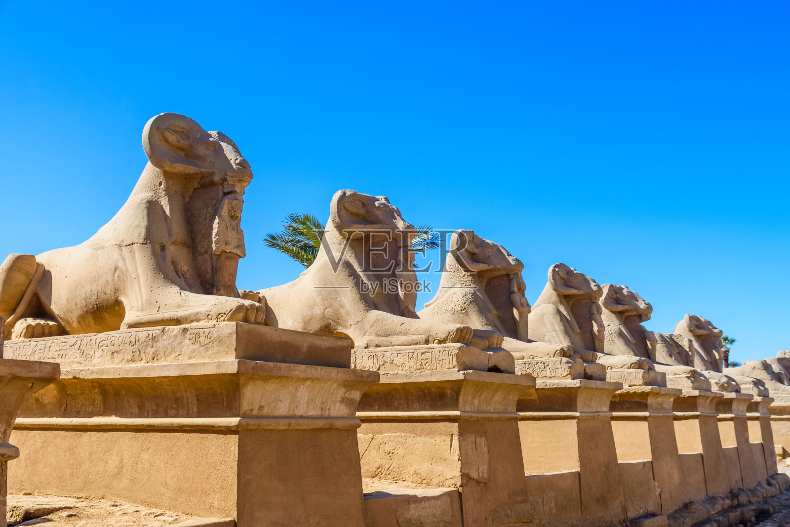 卢克索卡纳克神庙的公羊头像斯芬克斯大道，埃及照片摄影图片