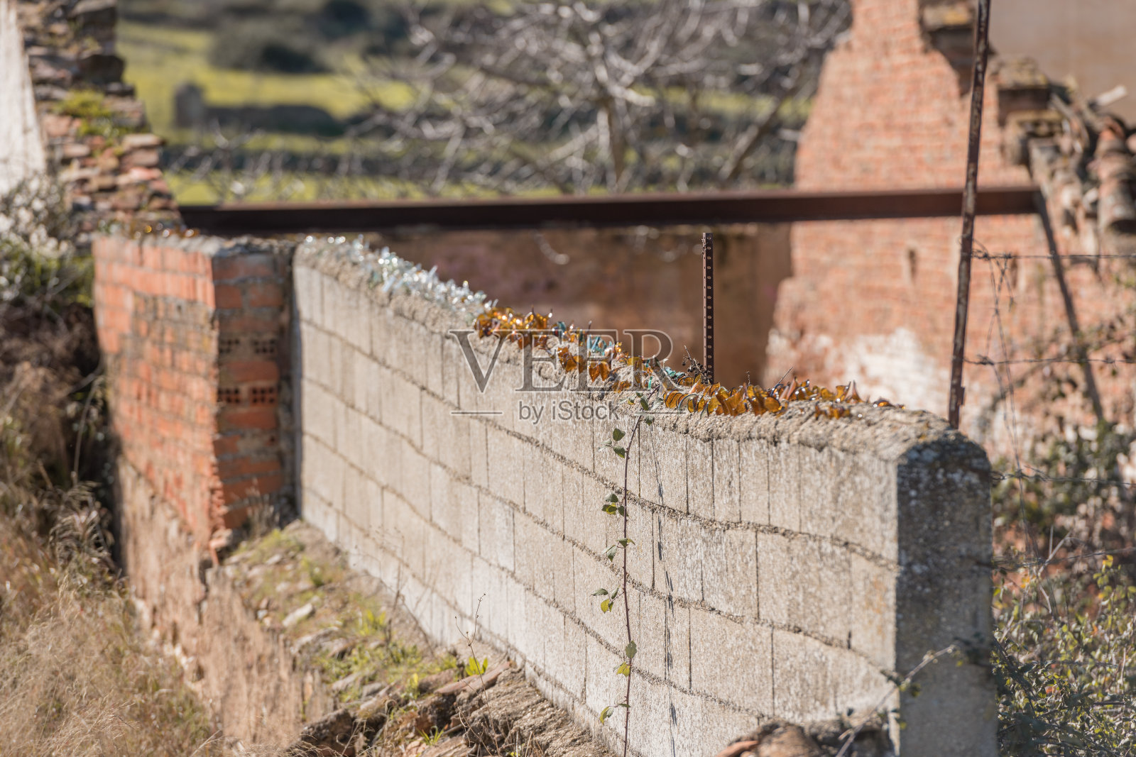 墙的上部填满了废弃房屋的碎玻璃碎片照片摄影图片