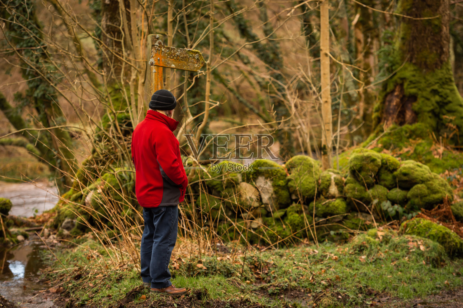 农村环境中活跃的长者照片摄影图片