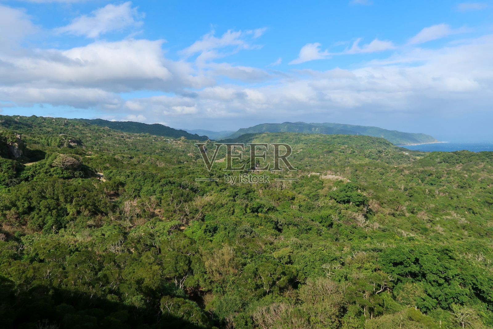 高雄公园照片摄影图片