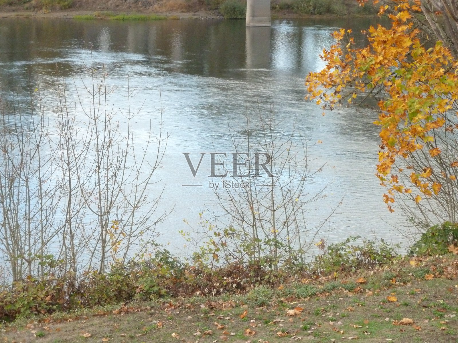 太平洋西北地区地面变冷时形成的一条河照片摄影图片