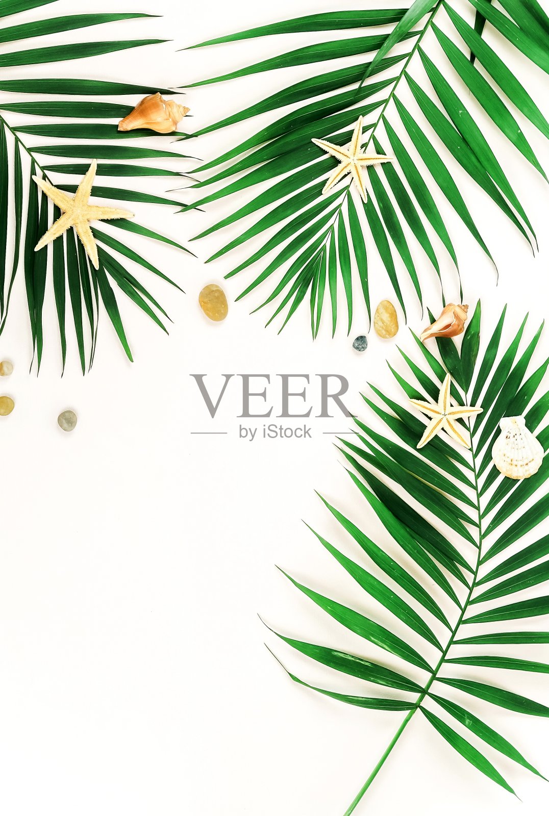 热带绿色的棕榈枝图案框架和海轮在白色的背景上。前视图。space.abstract副本。照片摄影图片