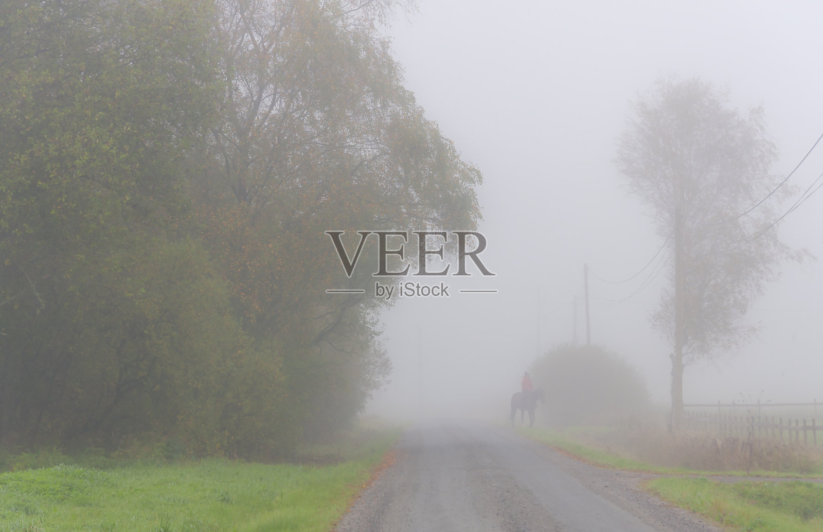 骑在雾中照片摄影图片