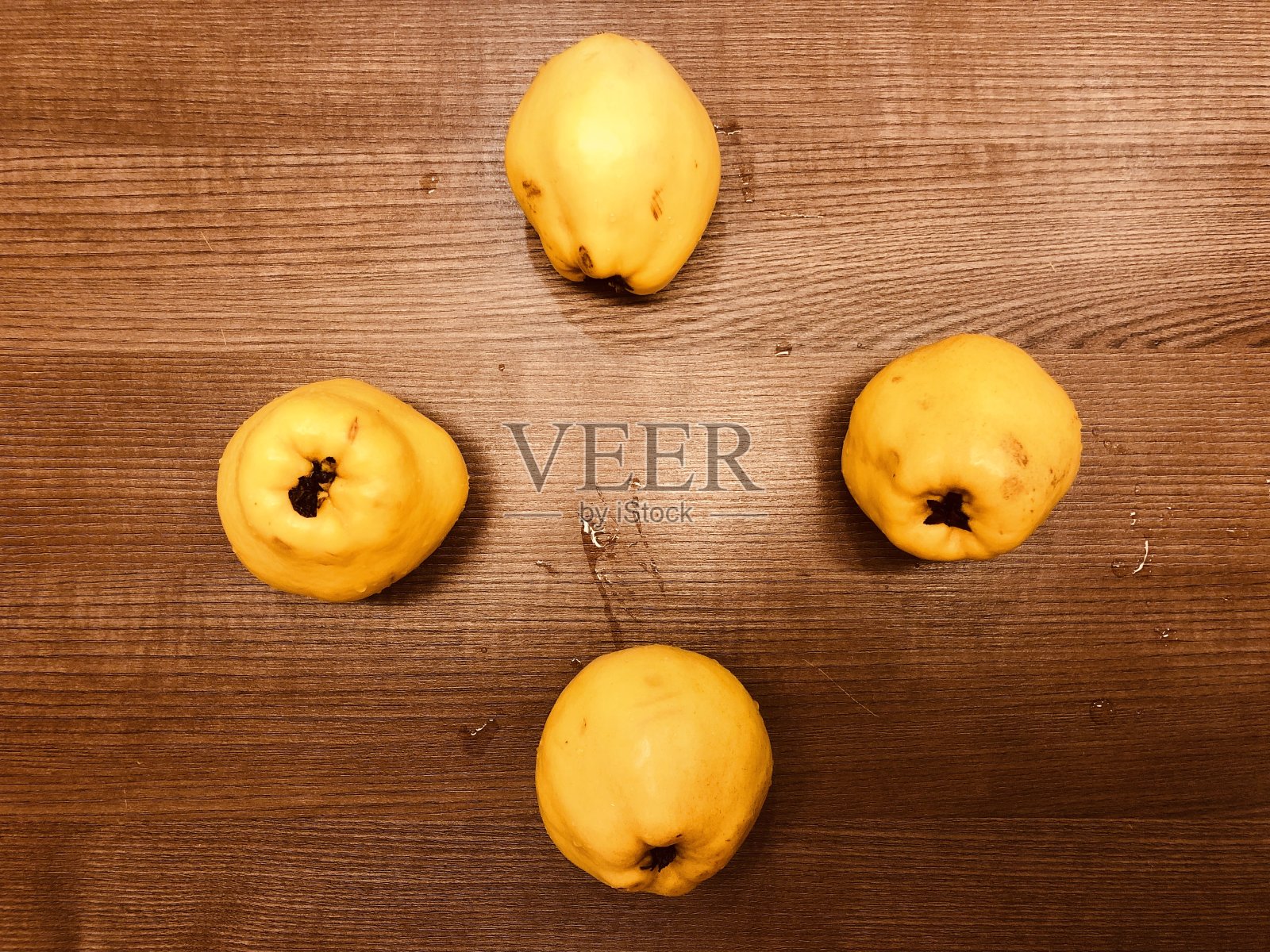 贴梗海棠片照片摄影图片