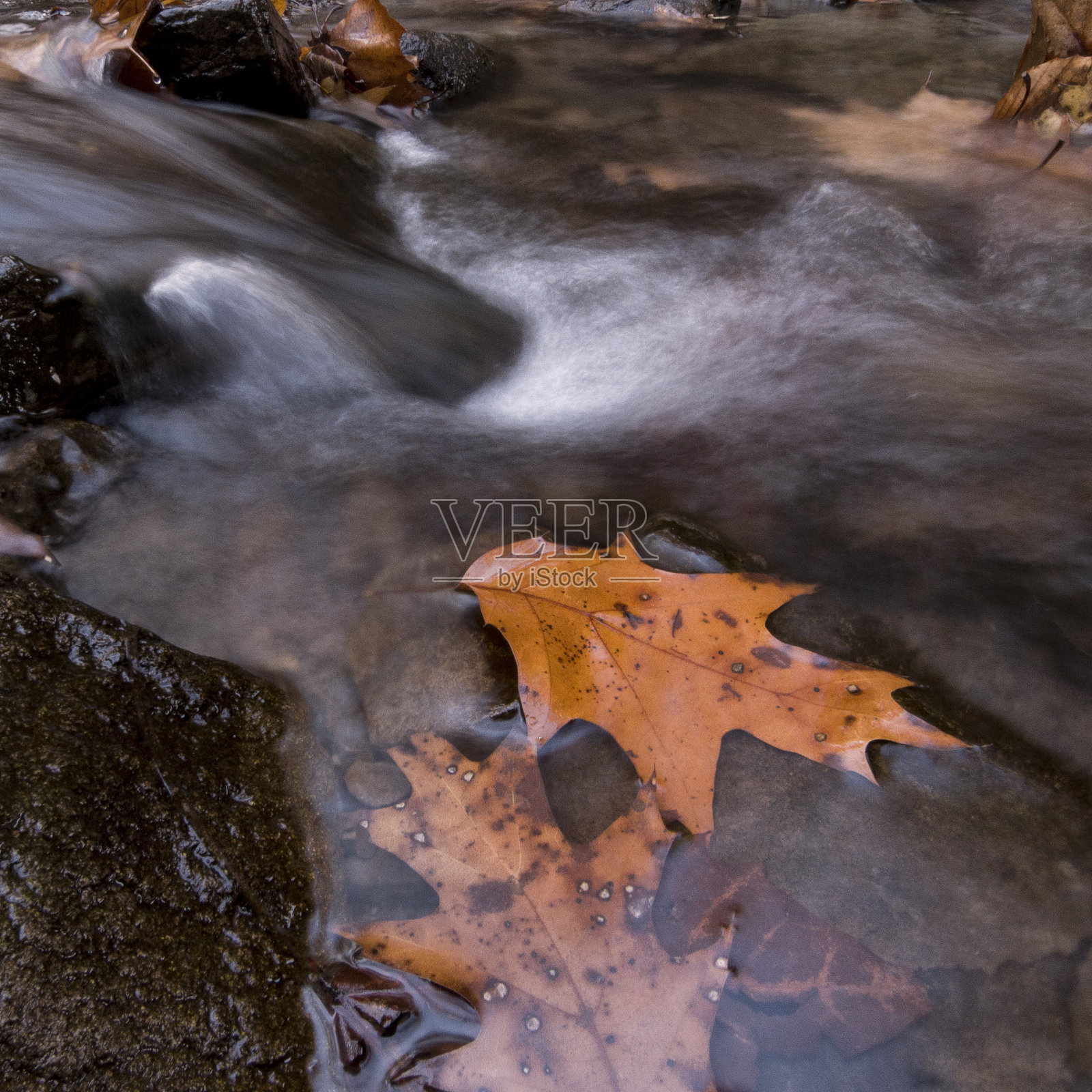 流水流过岩石和秋叶照片摄影图片