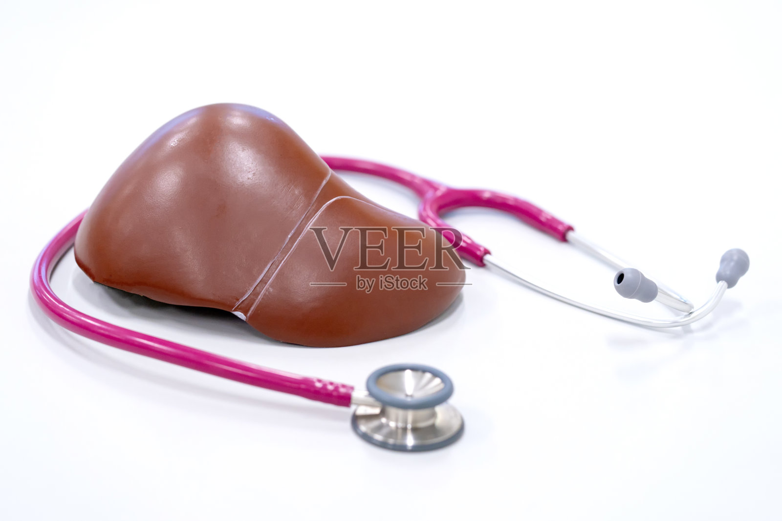 带听诊器的人体肝脏模型。健康的概念。照片摄影图片