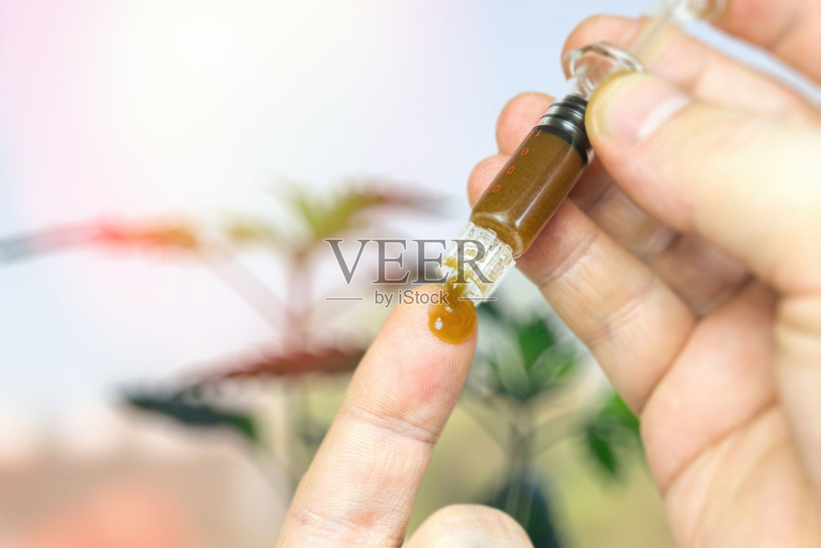 手持注射器与CBD大麻二酚膏对抗大麻植物照片摄影图片