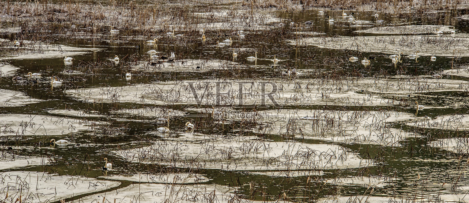 冬季湖泊景观VH533照片摄影图片