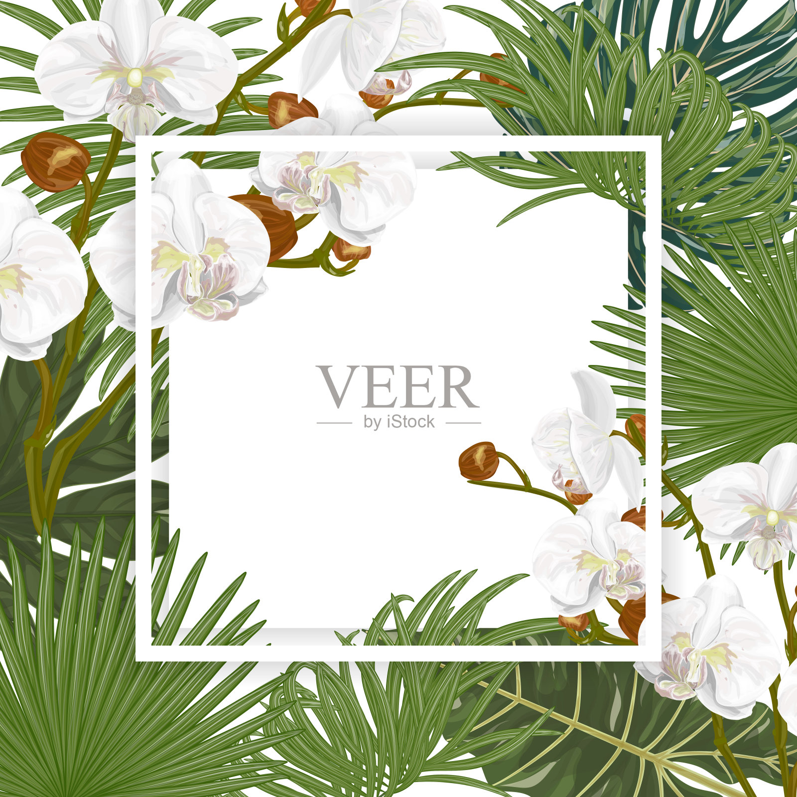 兰花花叶的婚礼请柬。插画图片素材