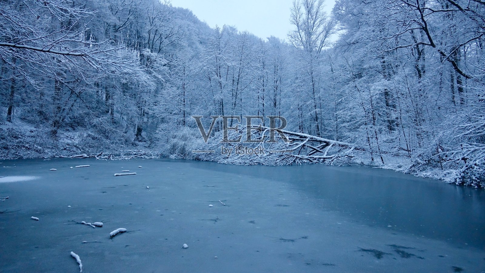 冬天的森林里有一个小湖照片摄影图片