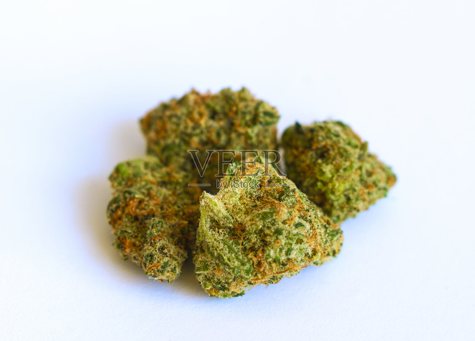 大麻花蕾特写照片摄影图片