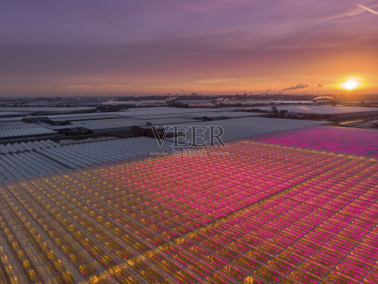 荷兰现代农业温室的鸟瞰图照片摄影图片