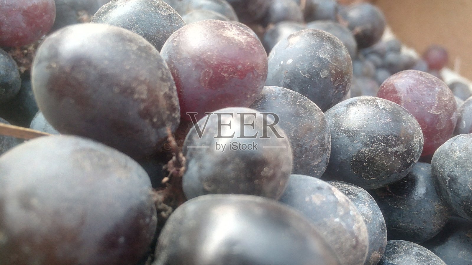 黑葡萄照片摄影图片