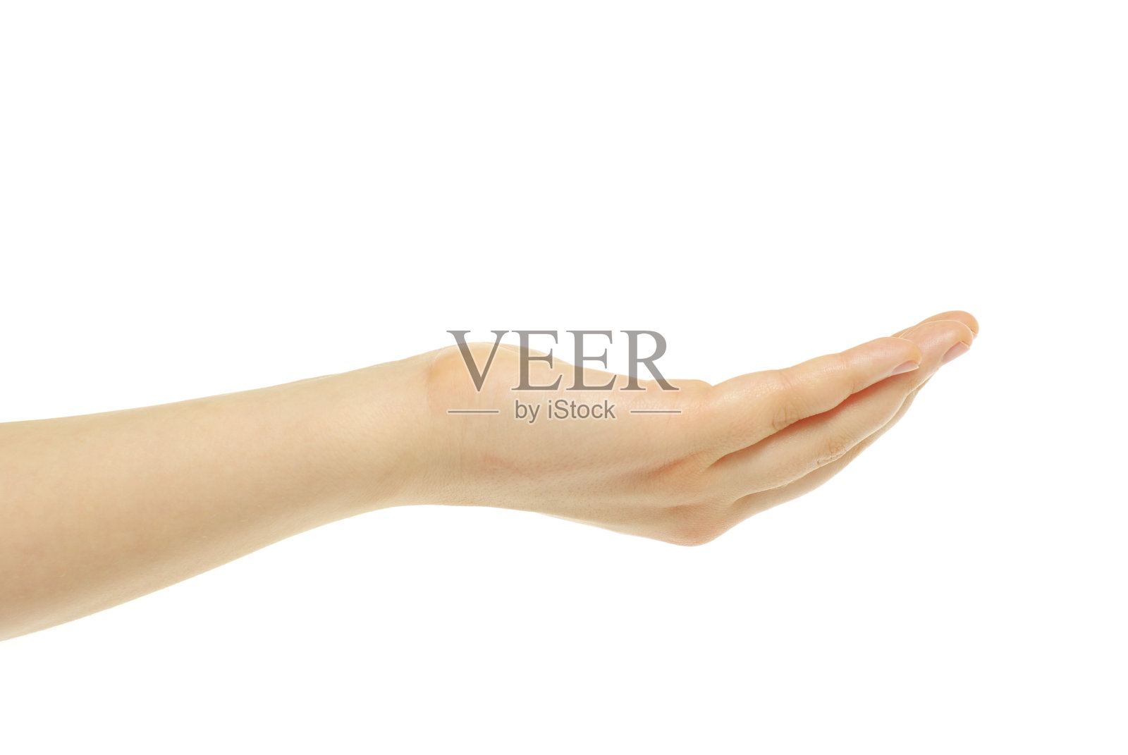 手照片摄影图片