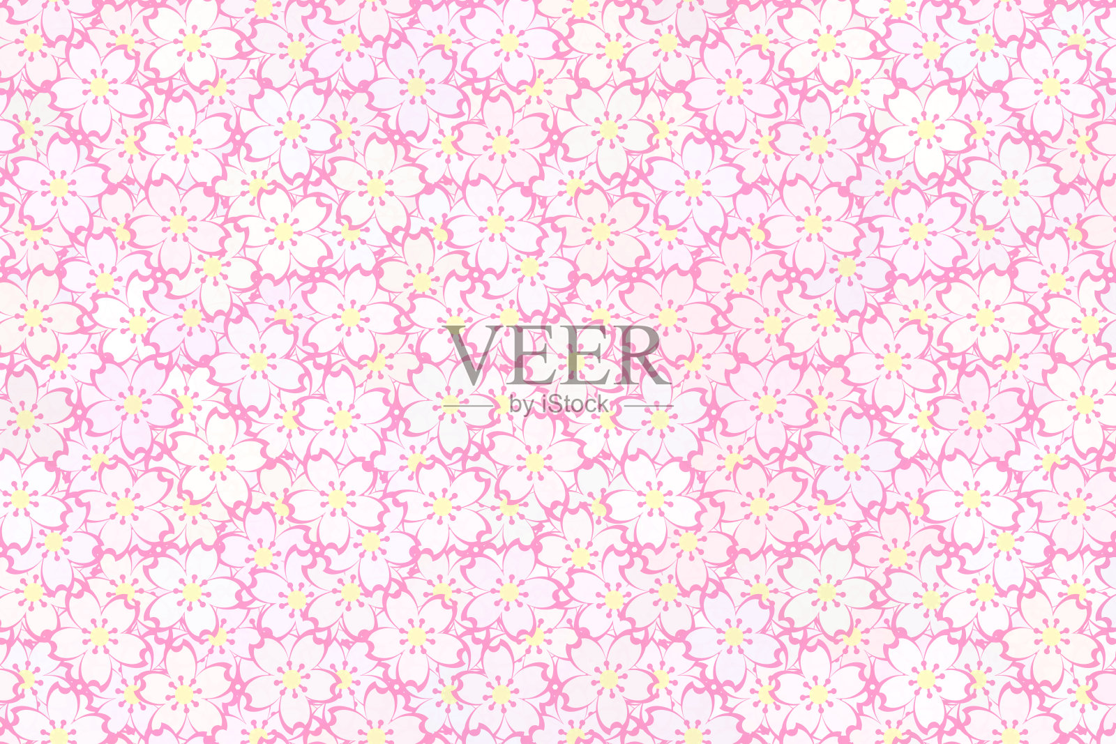 樱花的花瓣。照片摄影图片