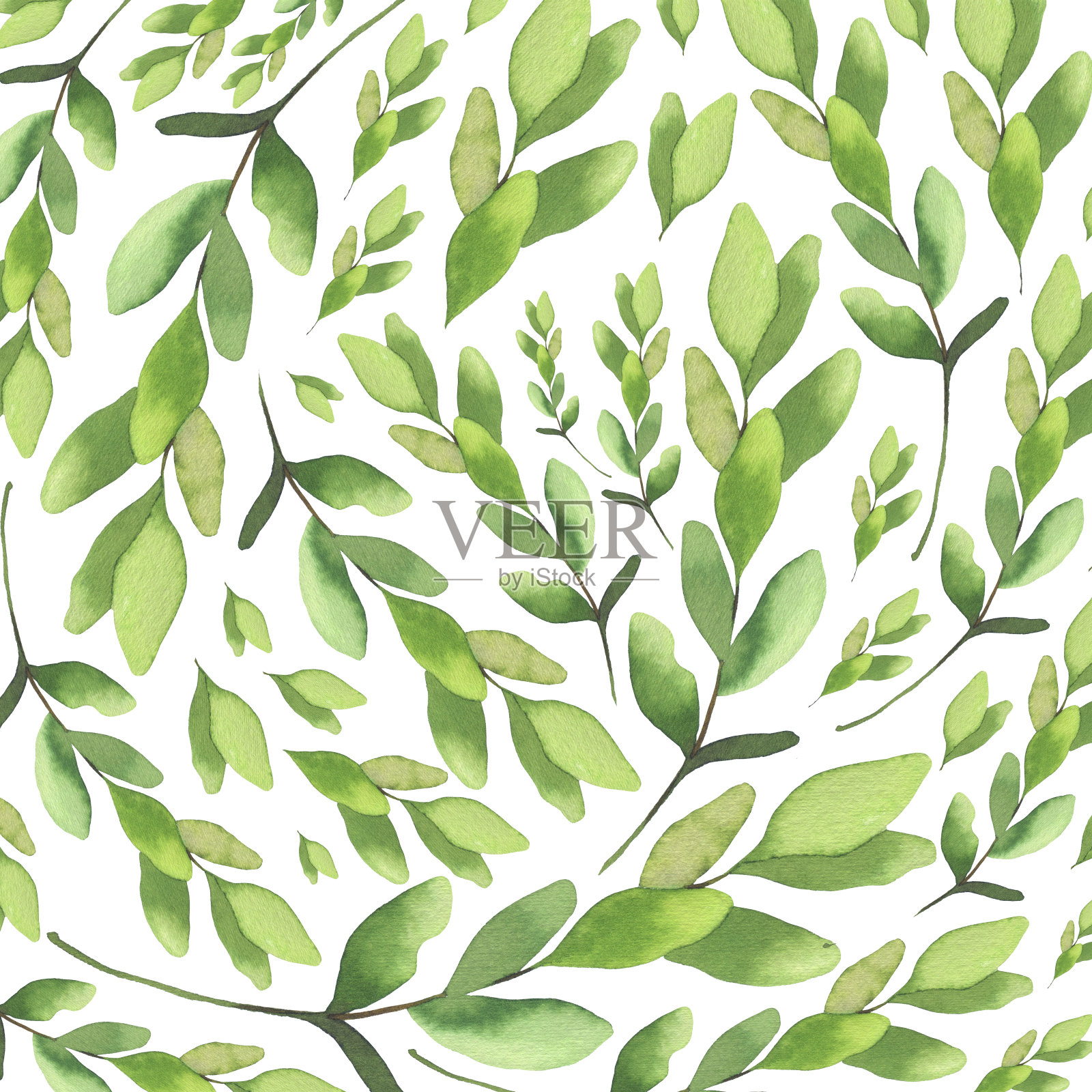 水彩背景与绿色桉树插画图片素材