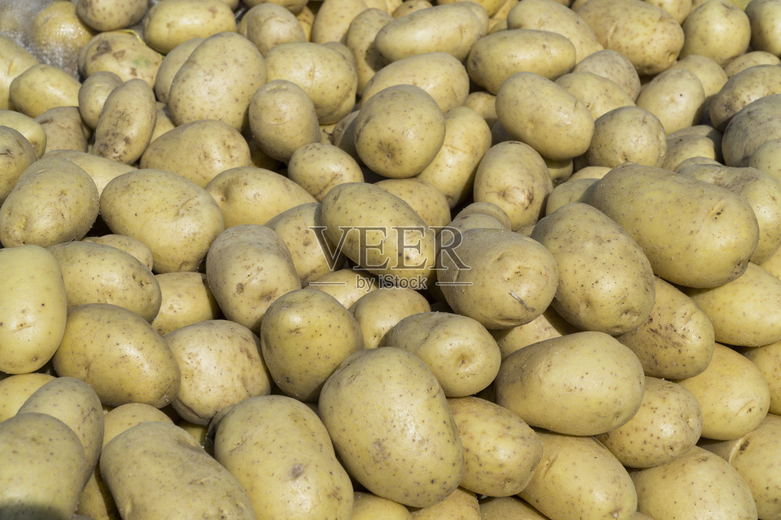 如拍摄新鲜土豆照片照片摄影图片