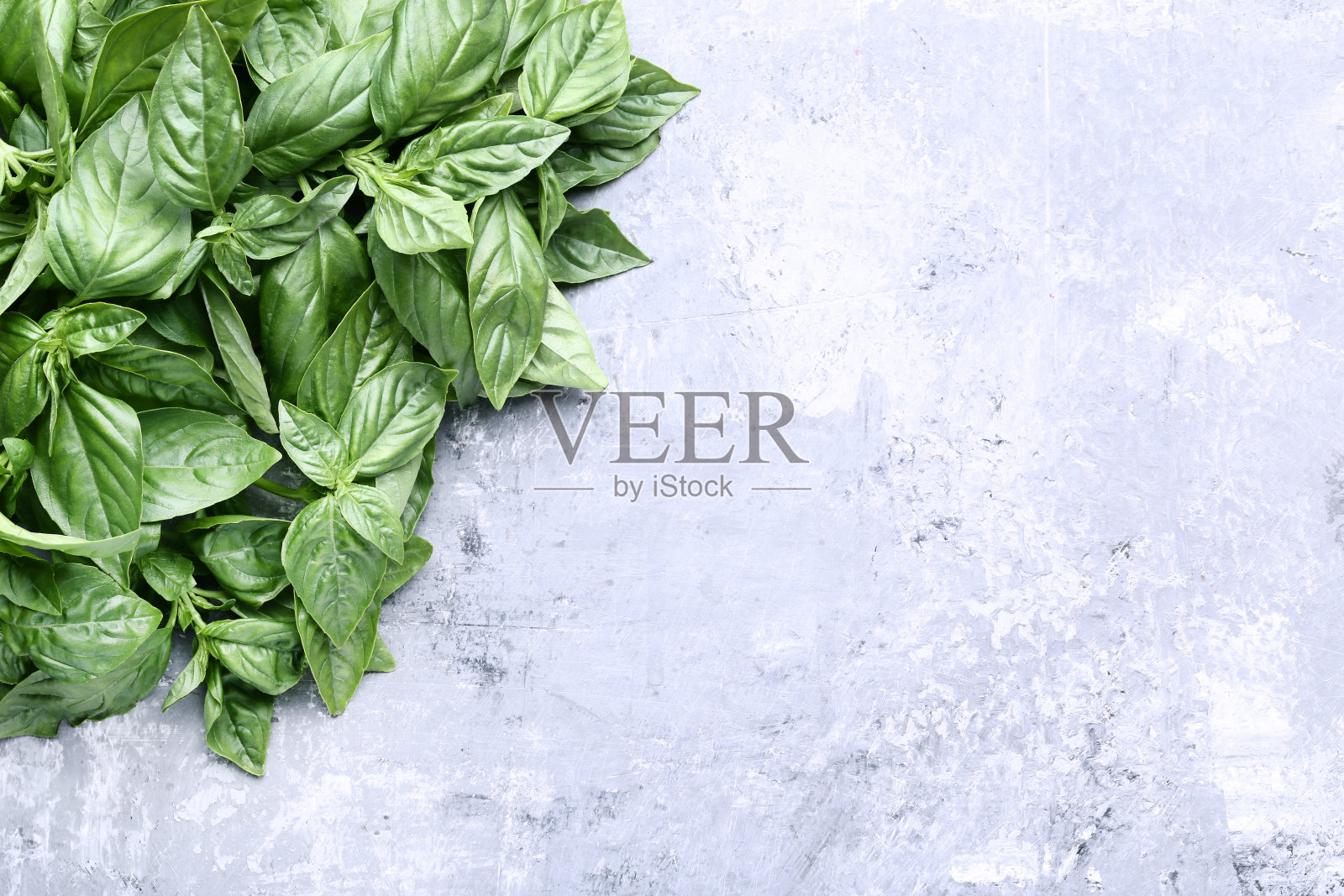 灰色的木桌上放着绿色的罗勒叶照片摄影图片