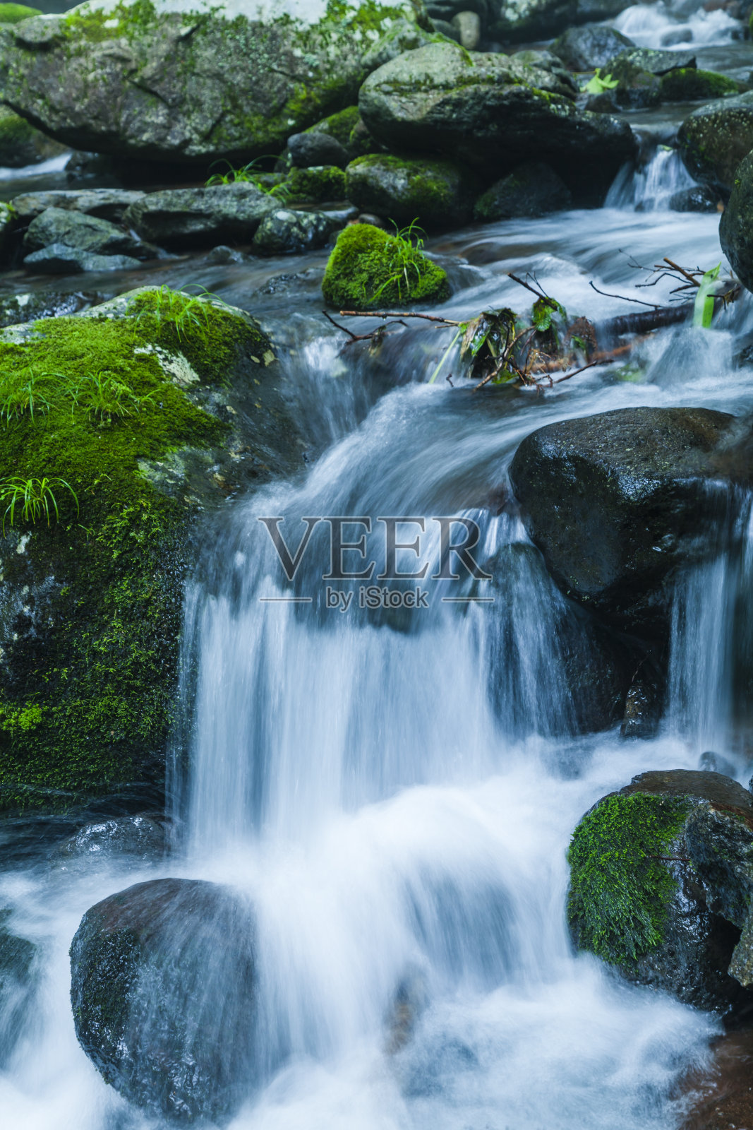 森林中的瀑布照片摄影图片