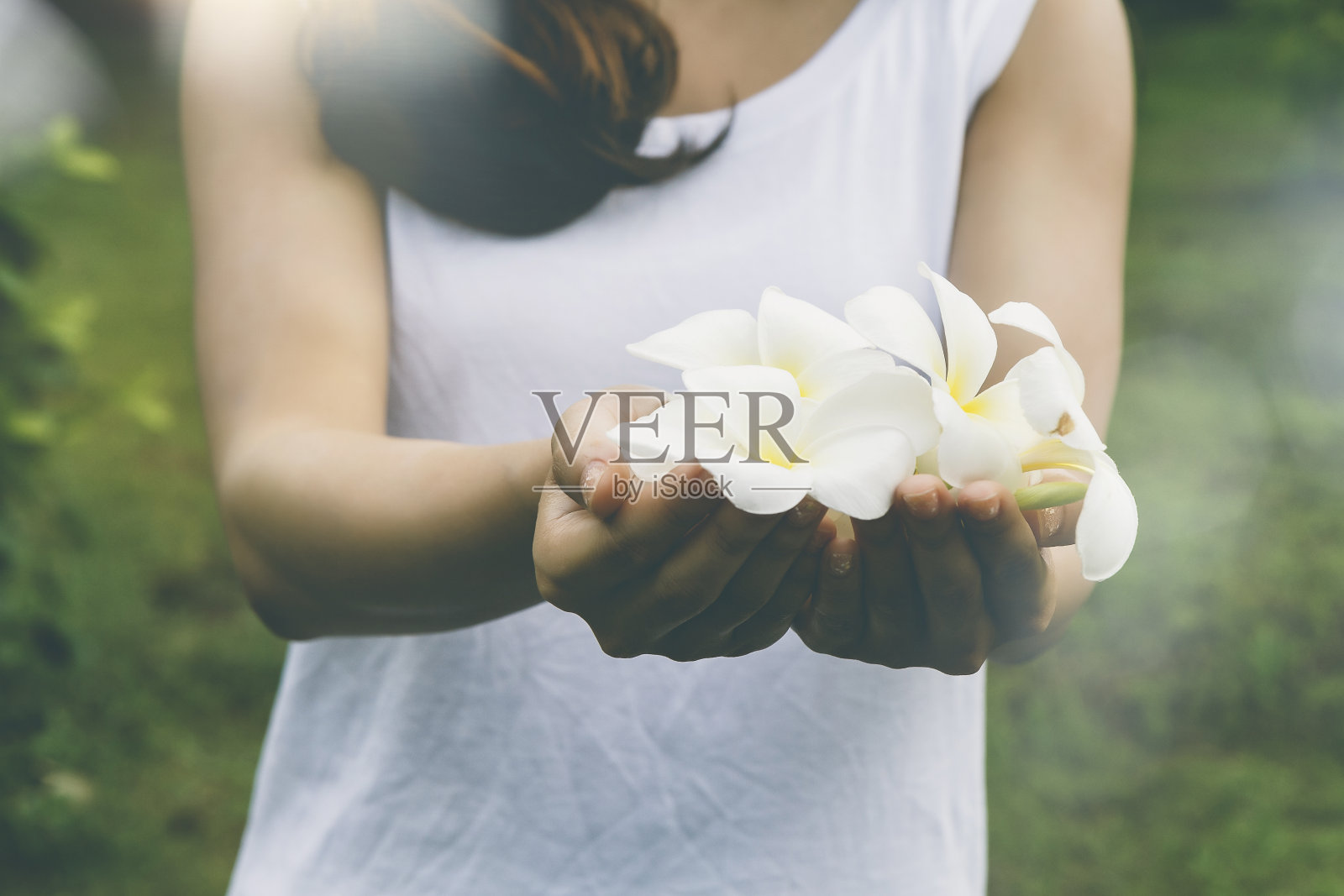 美丽年轻的亚洲女人捧着一朵白花在公园里，vitage效果照片摄影图片