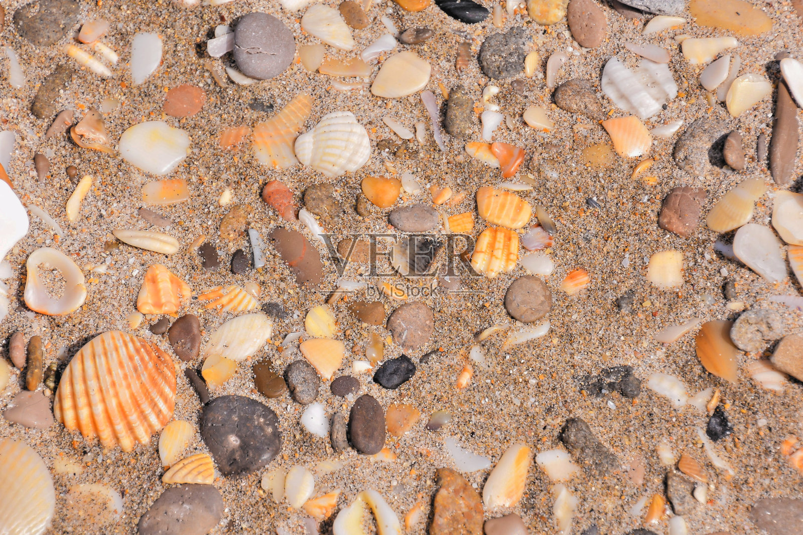 海贝壳上的沙子背景照片摄影图片