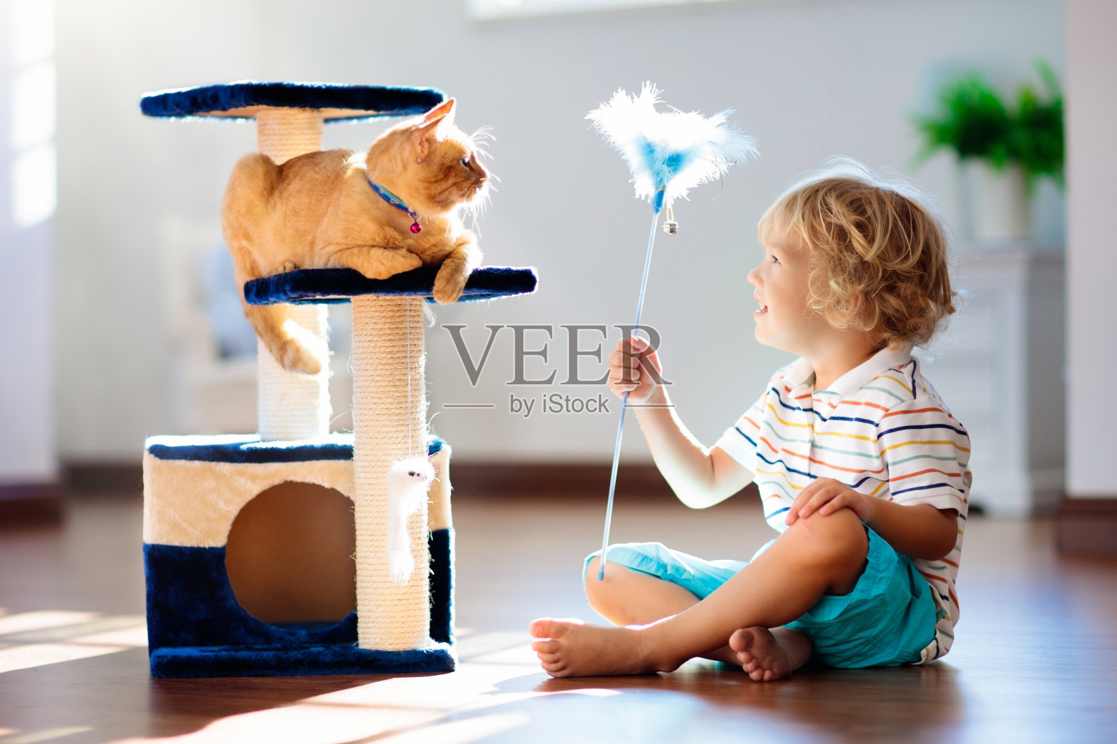 孩子在家里和猫玩。孩子和宠物。照片摄影图片