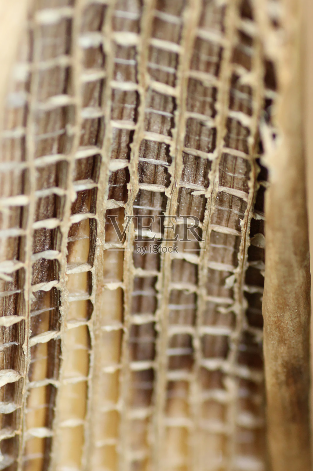 自然的矩形照片摄影图片