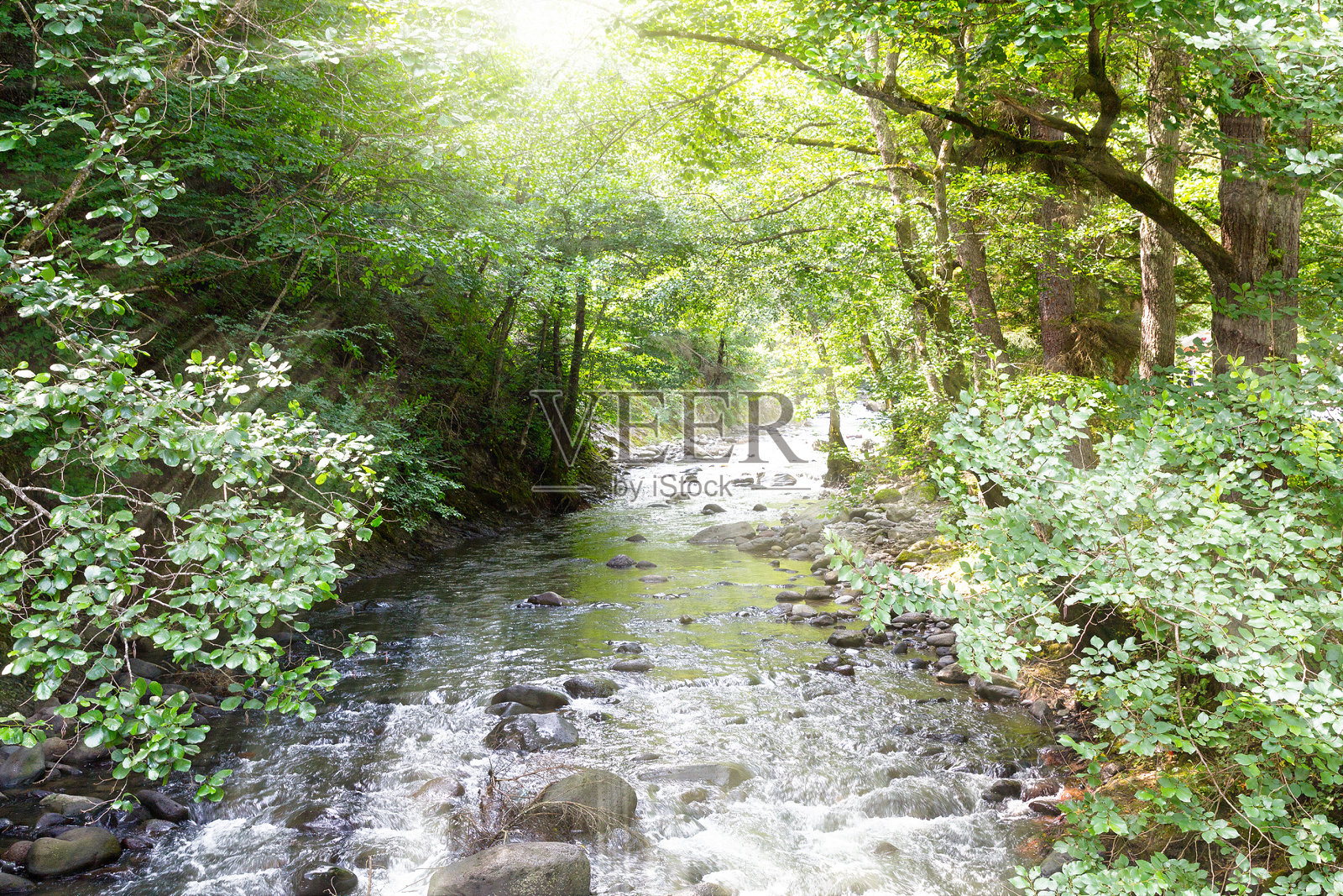 山河在树林里照片摄影图片