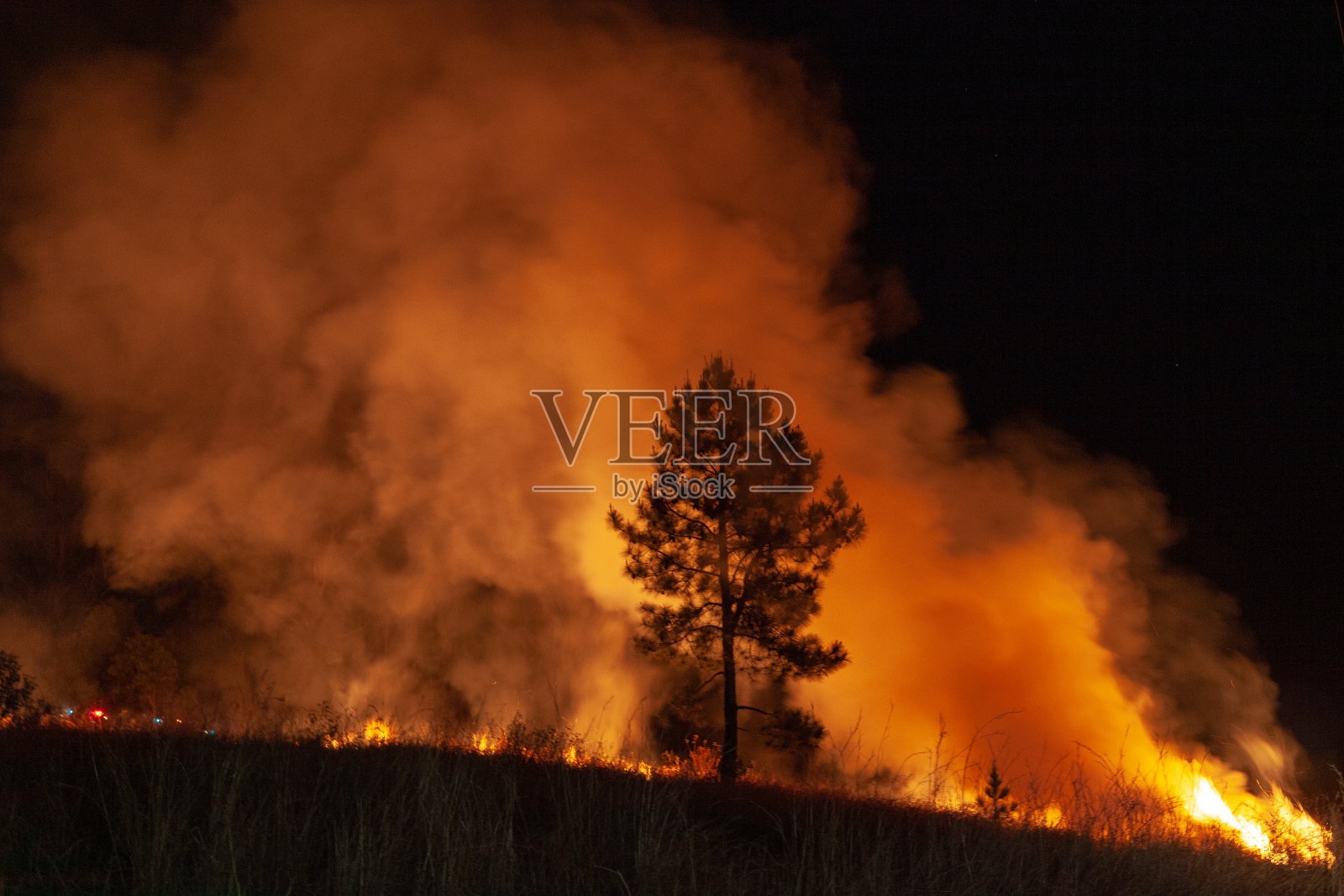 有选择地集中于背烧和扑灭野火草和森林火灾，以保护居民照片摄影图片
