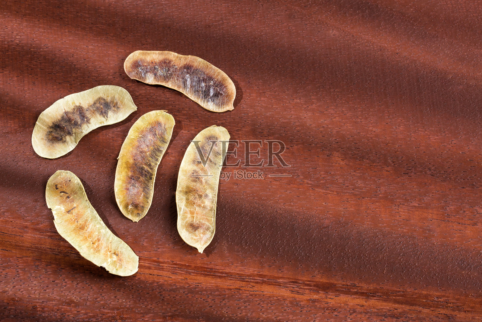 金合欢荚-山楝-决明子。木制背景照片摄影图片