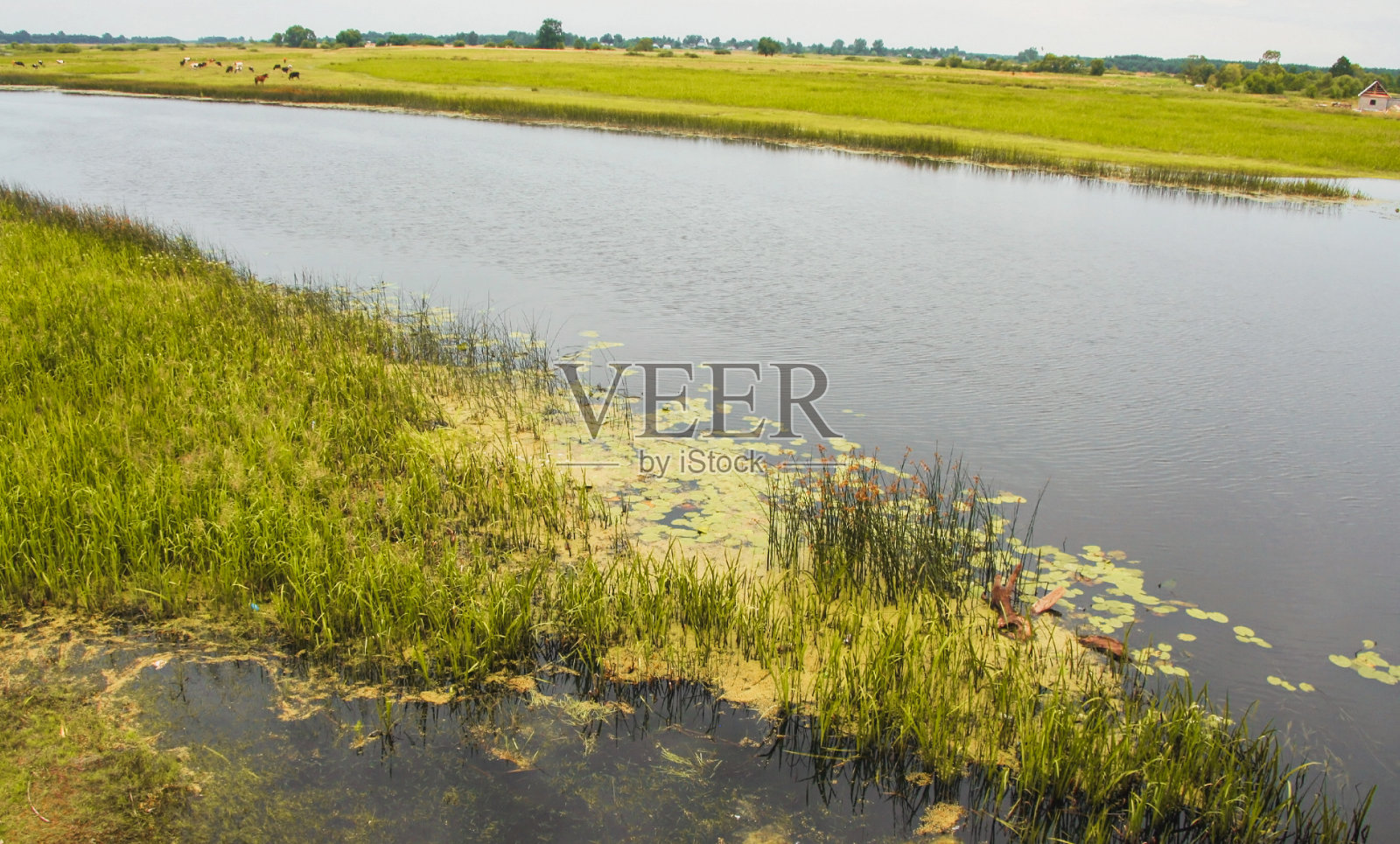 夏天的风景照片摄影图片