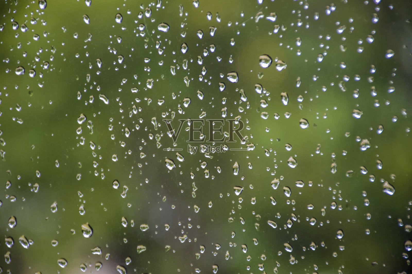 雨点落在玻璃上，森林绿色的背景模糊不清。照片摄影图片
