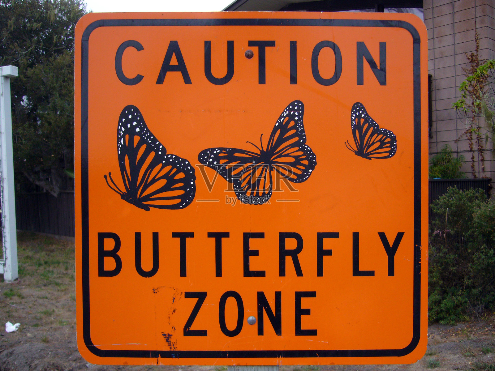 谨慎蝴蝶区照片摄影图片